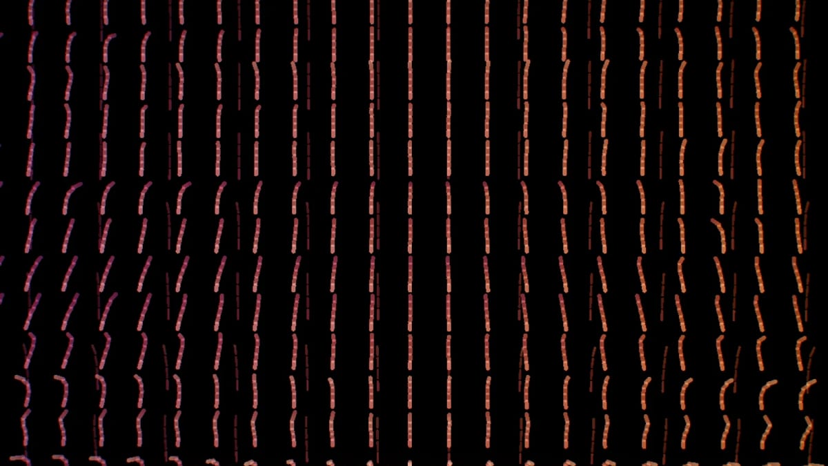 Cascade: cascading threads of light — screenshot of the Halofloor music visualizer