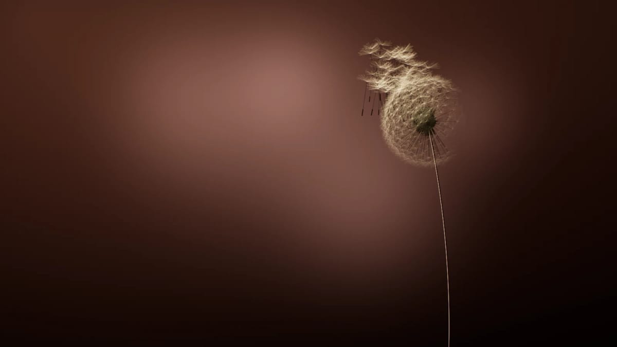 Dandelion: a backlit dandelion clock — screenshot of the Halofloor music visualizer