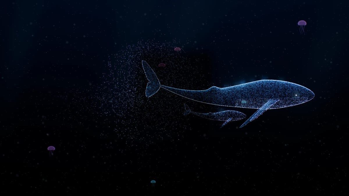 Leviathan: a whale of light in the deep — screenshot of the Halofloor music visualizer
