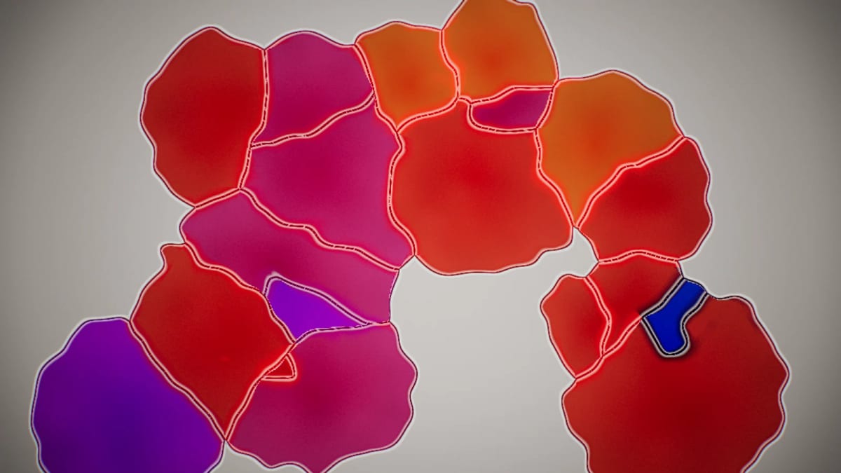 LiquidLight: a 1960s liquid light show — screenshot of the Halofloor music visualizer