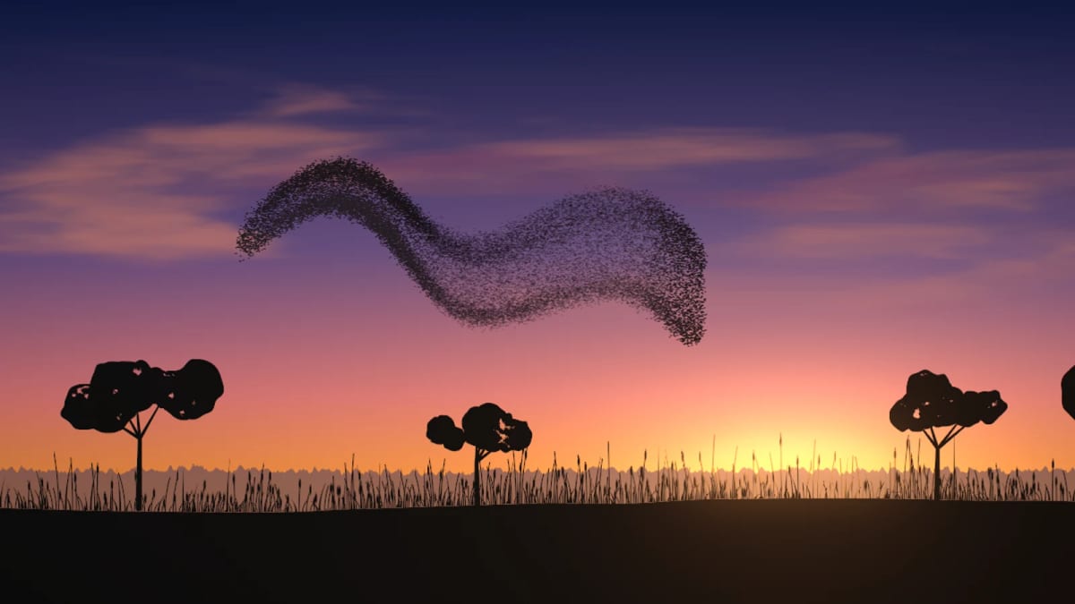 Murmuration: a flock of starlings at dusk — screenshot of the Halofloor music visualizer