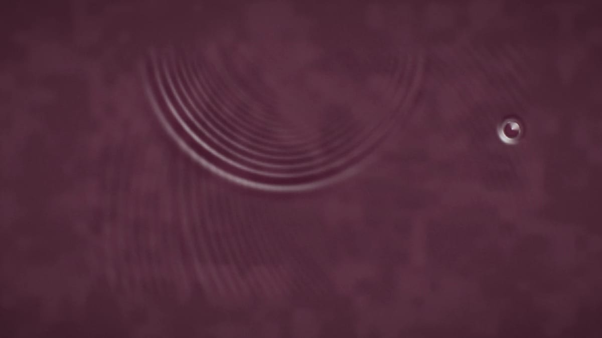 Steam: drops and ripples on water — screenshot of the Halofloor music visualizer