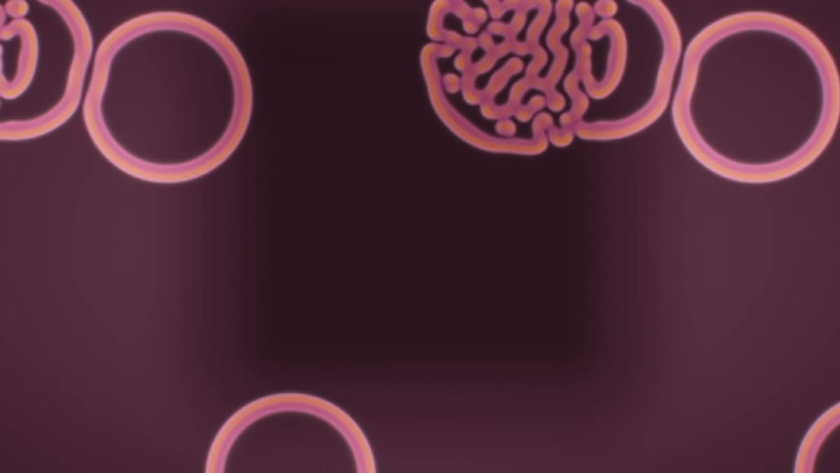 Turing: living Turing patterns — screenshot of the Halofloor music visualizer