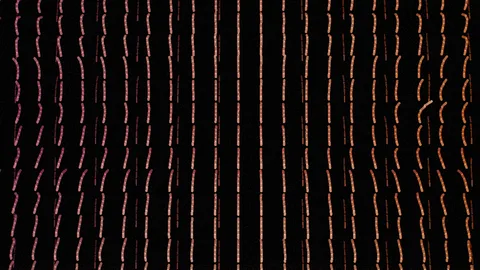 Cascade : Thin vertical threads of light rippling on black