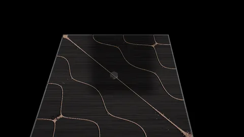 Chladni : Chladni sand patterns