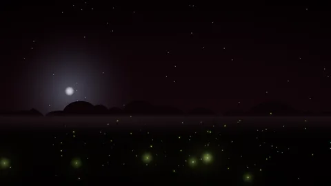 Univers Fireflies de Halofloor