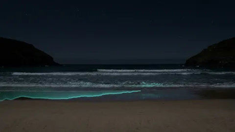 Glowtide : bioluminescent waves