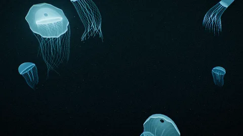 Univers Jellyfish de Halofloor