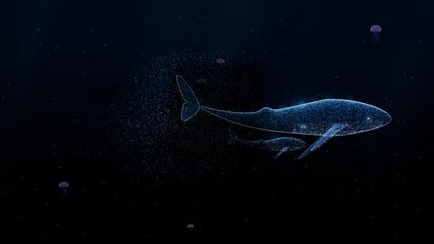 Leviathan : a whale of light in the deep