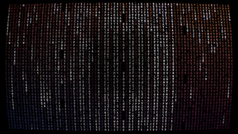 Matrix : digital character rain