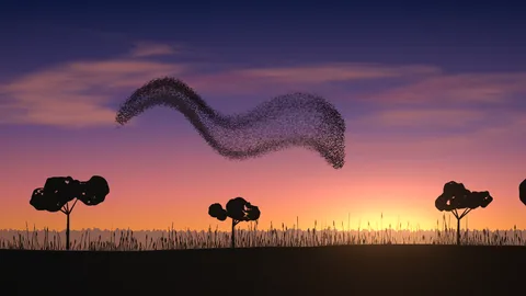Murmuration : a flock of starlings at dusk