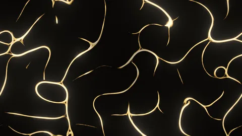 Mycelium : a living network of golden threads