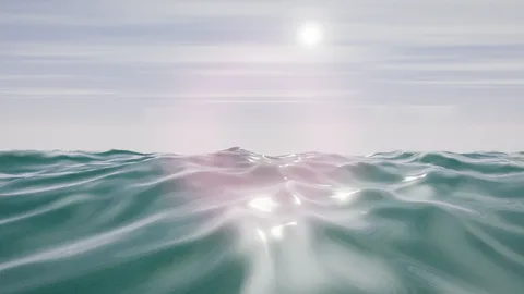 Univers Ocean de Halofloor
