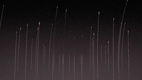 Reed : a field of reeds at dusk