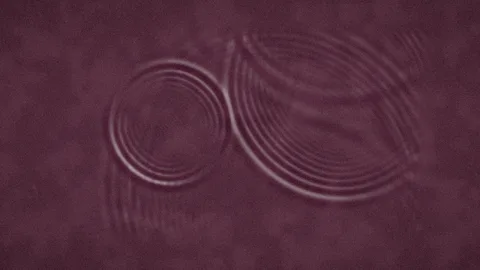 Steam : drops and ripples on water