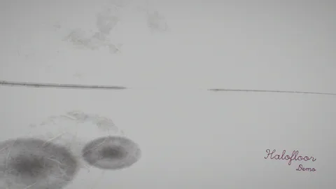 Sumi : Ink brush strokes on white paper