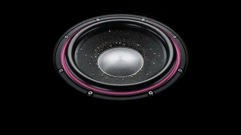 Woofer : a pumping bass speaker